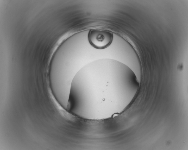 X0000090741434200708171958