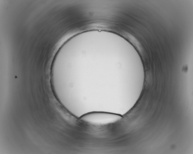 X0000090741435200708171958