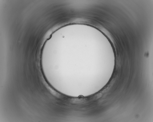 X0000090741437200708171959