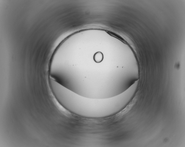 X0000090741438200708171959