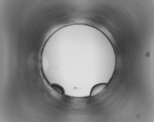 X0000090741439200708171959