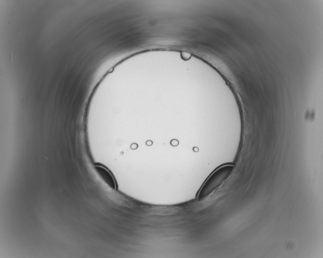 X0000090741440200708171959