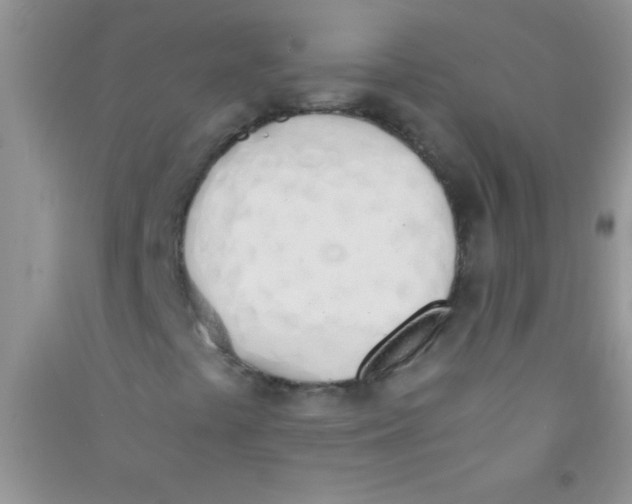 X0000090741441200708171958