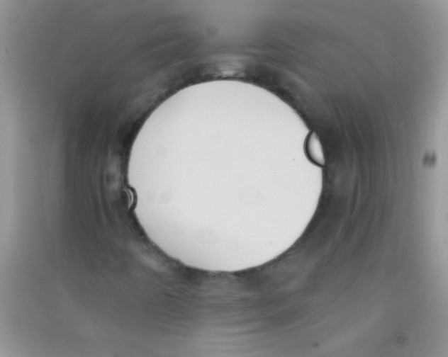 X0000090741442200708171958