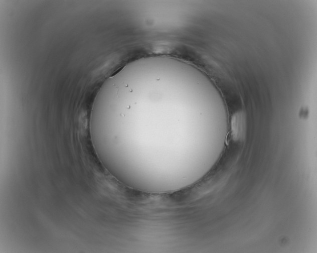 X0000090741443200708171958