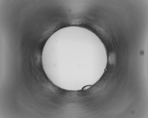 X0000090741444200708171958