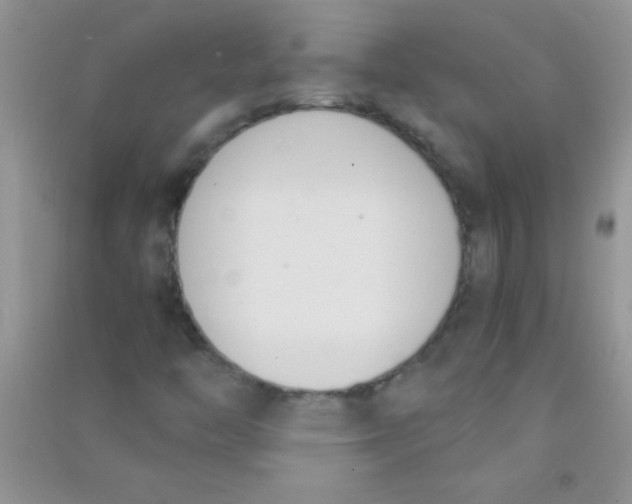 X0000090741446200708171958