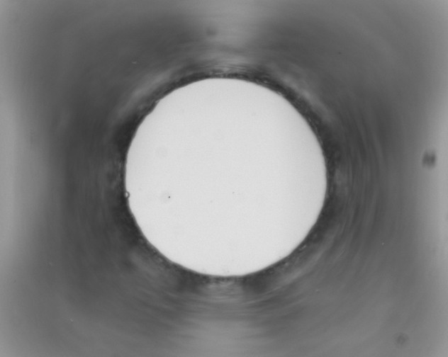 X0000090741447200708171958