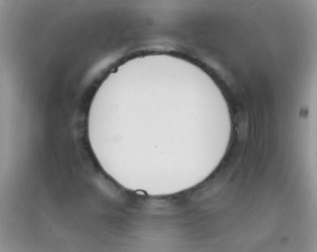 X0000090741448200708171958