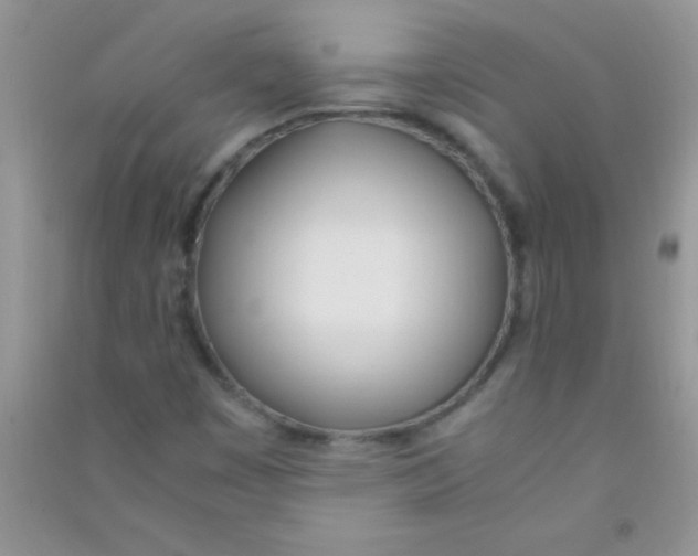 X0000090741449200708171958