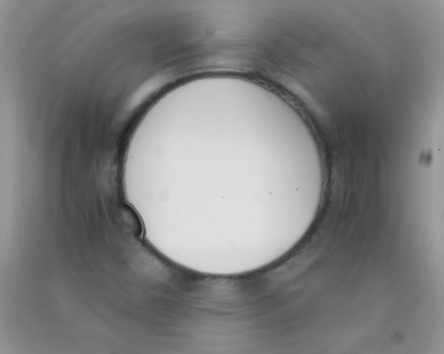 X0000090741450200708171958