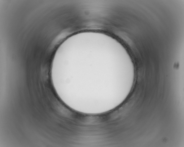 X0000090741451200708171958