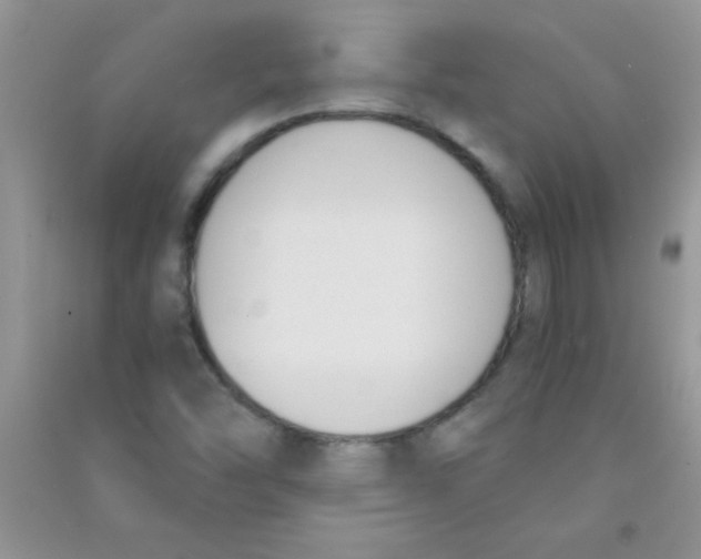 X0000090741454200708171958