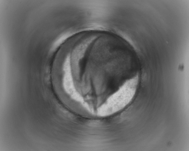 X0000090741455200708171958