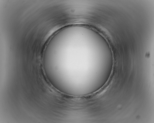 X0000090741457200708171958