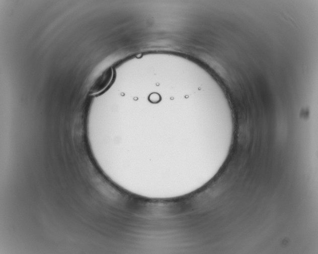 X0000090741458200708171958