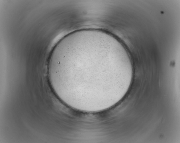 X0000090741459200708171958