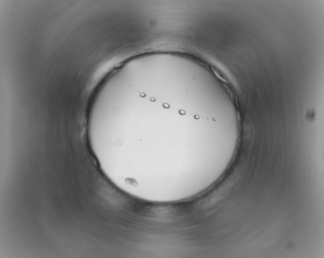 X0000090741461200708171958