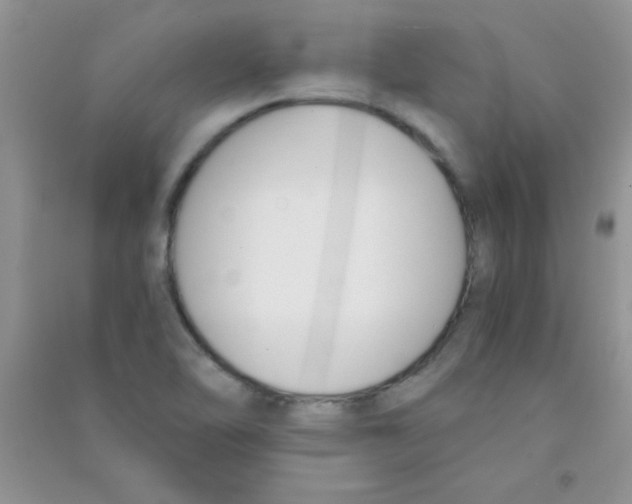 X0000090741462200708171958