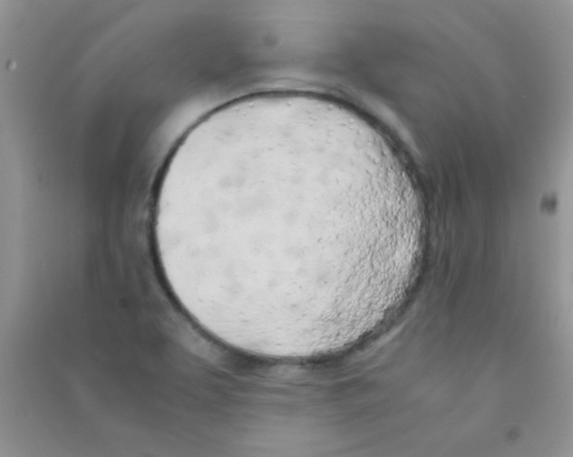 X0000090741463200708171958