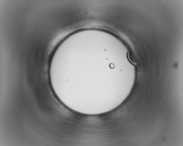 X0000090741464200708171958