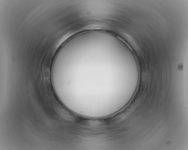 X0000090741465200708171958