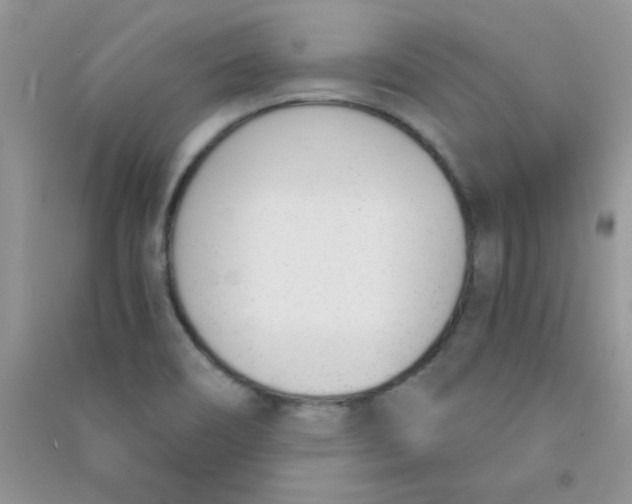 X0000090741466200708171958