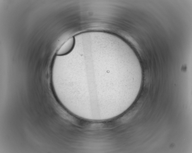 X0000090741467200708171958