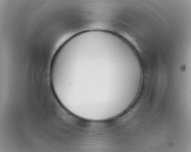 X0000090741469200708171958