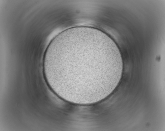 X0000090741471200708171958