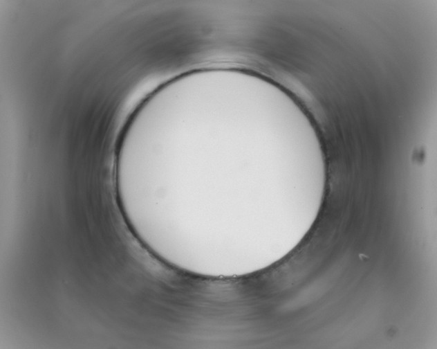 X0000090741472200708171958