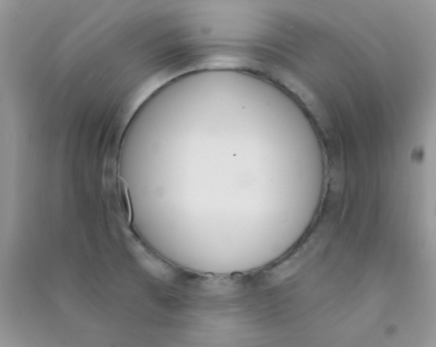 X0000090741473200708171958