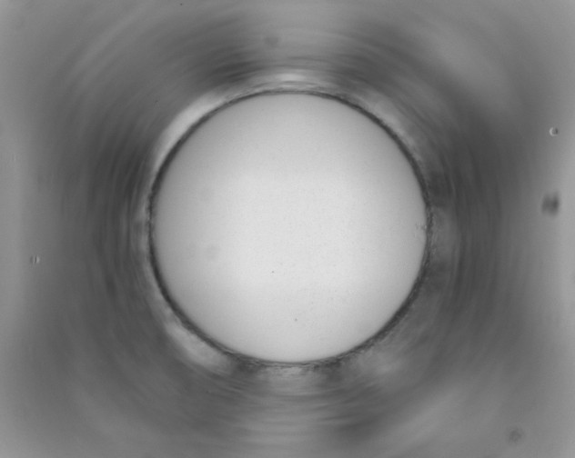 X0000090741474200708171958