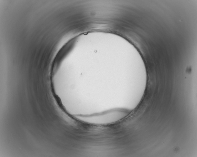 X0000090741475200708171958