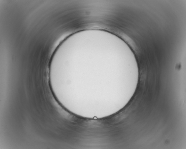 X0000090741476200708171958