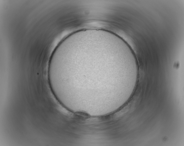 X0000090741477200708171958