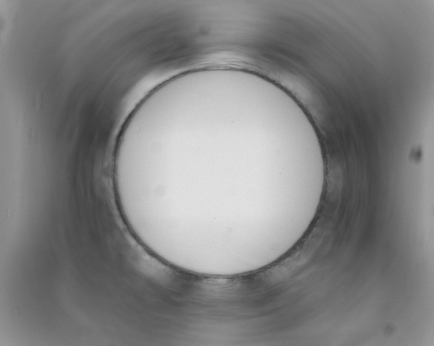 X0000090741478200708171958