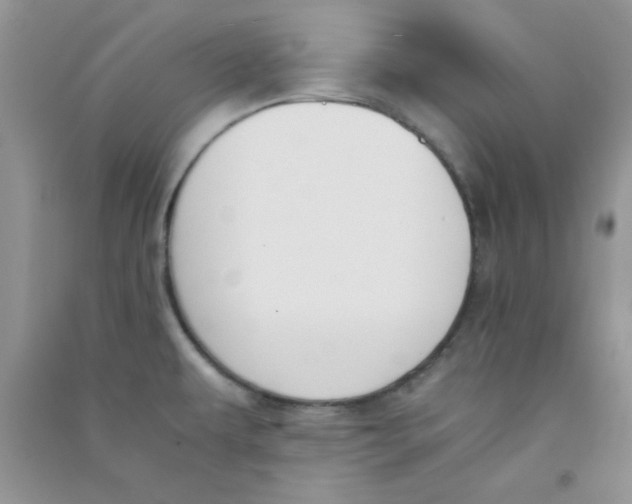 X0000090741479200708171957