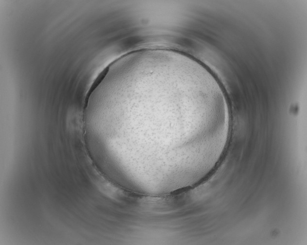 X0000090741481200708171957