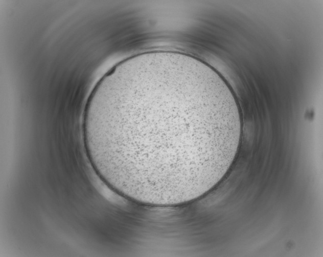 X0000090741482200708171957