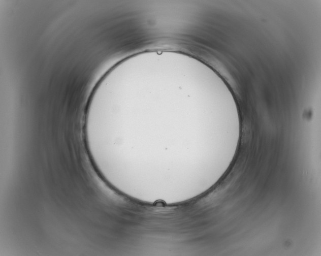 X0000090741484200708171957