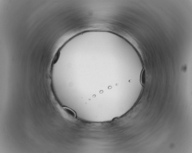 X0000090741485200708171957