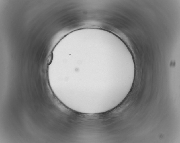 X0000090741488200708171957