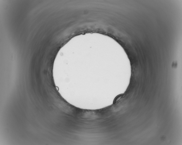 X0000090741489200708171957