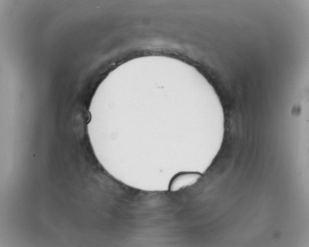 X0000090741493200708171957