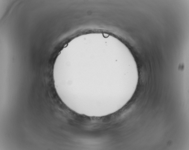 X0000090741494200708171957