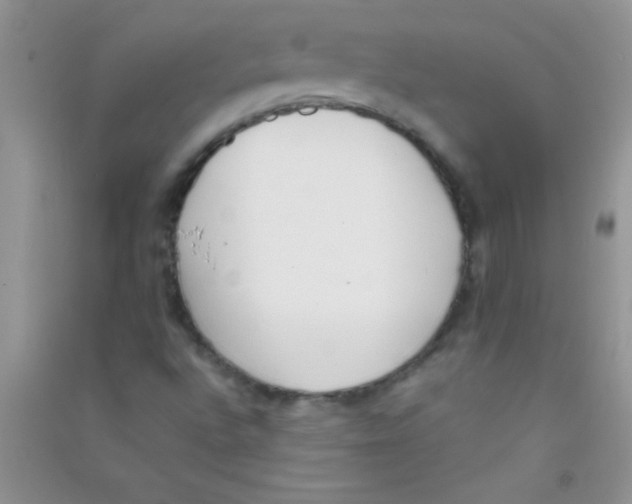 X0000090741496200708171957