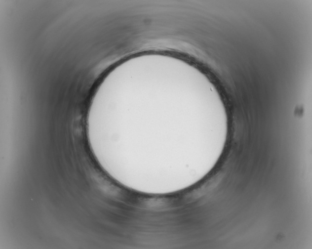 X0000090741497200708171957