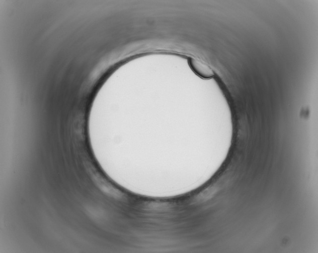 X0000090741499200708171957