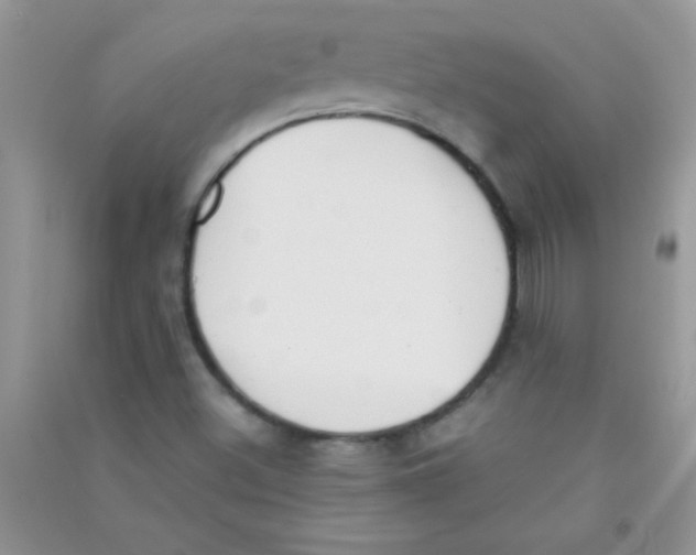 X0000090741500200708171957